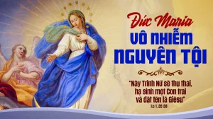 34de4558 304c 42c1 a5aa a047a7b79cb3