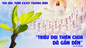 56dce314 fdf3 49ee bd93 cc02595b7e55