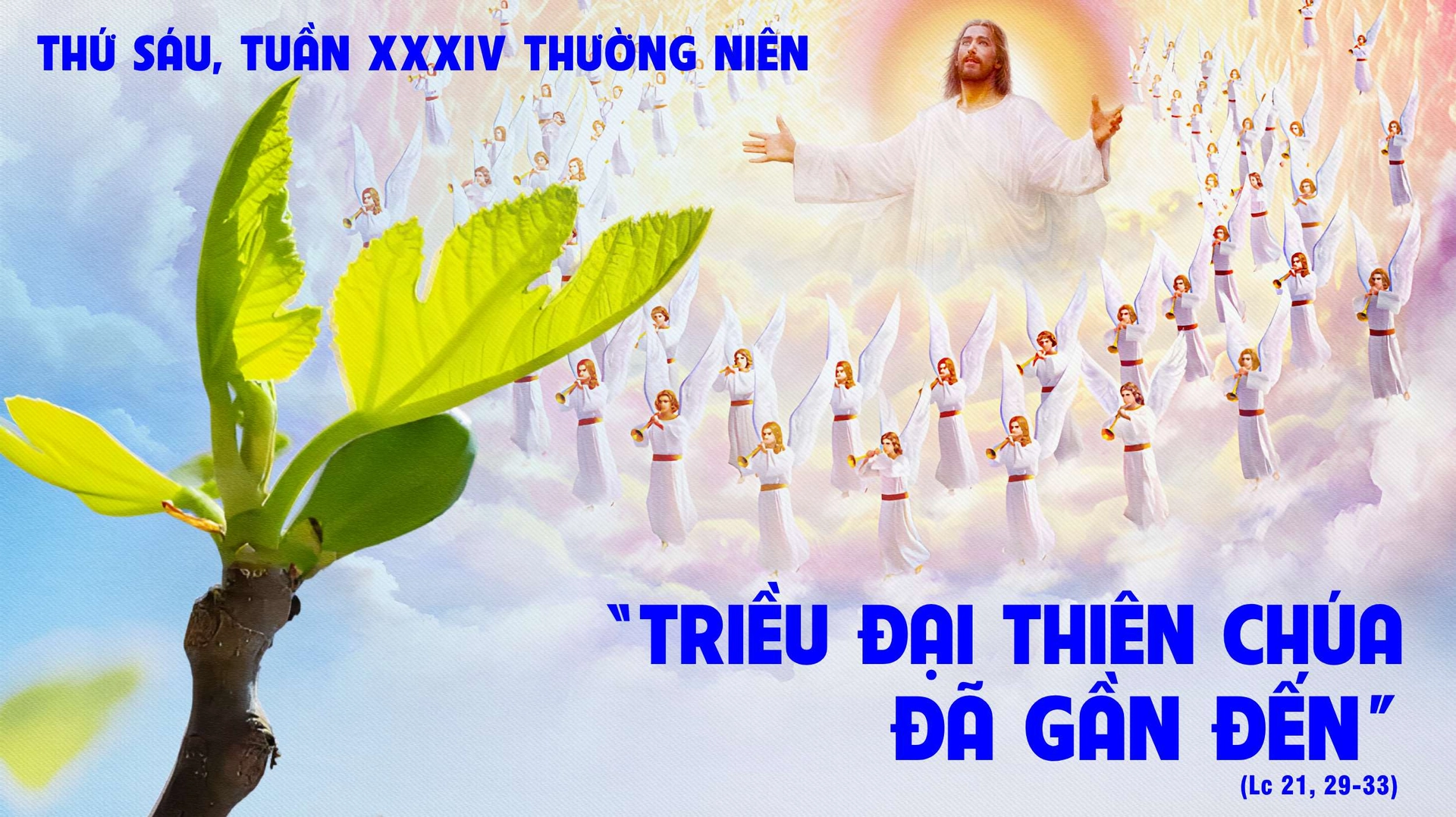 56dce314 fdf3 49ee bd93 cc02595b7e55