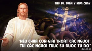 77137b4f 8cd3 4f5a 91f8 eff6d3a8c36a
