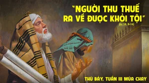 CN III MC T6