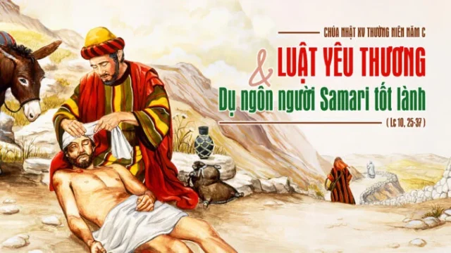 Chúa nhật XV thường niên năm C - Phải làm gì để được sống và sống đời đời? 1 CN LE LA 3