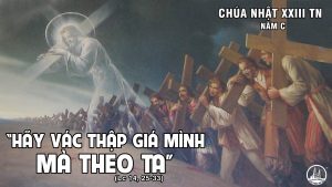 CN XXIII TN 2