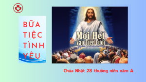 CN28 TN A linhmucthanhtamvn.com