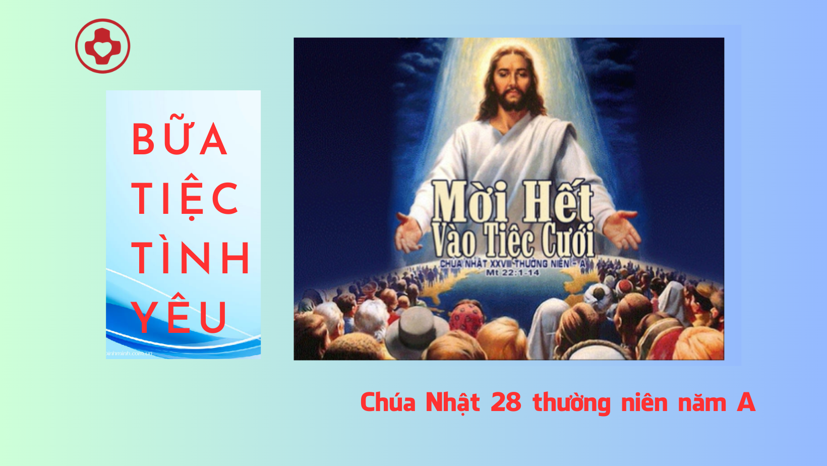CN28 TN A linhmucthanhtamvn.com