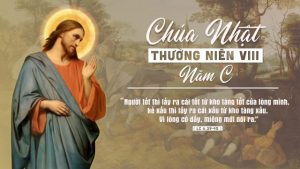 Chua Nhat VIII TNC