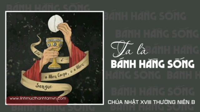 Chua nhat 18 tnb