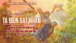 Chua nhat 27 thuong nien nam a linhmucthanhtamvn.com