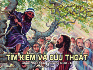 Chua nhat 31 nam c