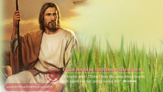 Các bài suy niệm Chúa nhật XI thường niên năm B 1 Chuanhat11thuongnienB