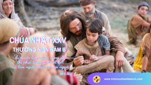 Chuanhat25tn