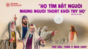 Linhmucthanhtamvn 5 1