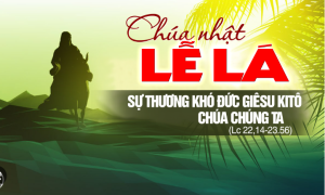Suy niem Chua nhat le la nam ah