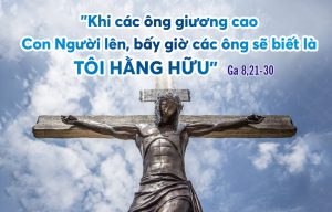 T3 Tuan 5 MC