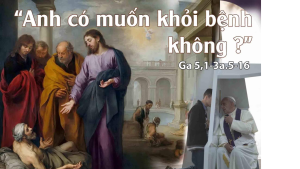 THU HAI TUAN II THUONG NIEN 14