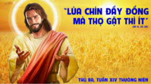 Thiet ke chua co ten 1 2