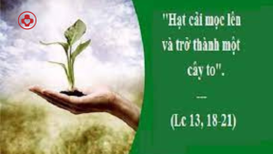 Thiet ke chua co ten 13