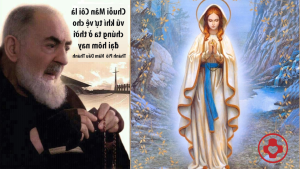 Thiet ke chua co ten 4