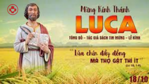 Thiet ke chua co ten 6