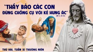 Thu Hai Tuan XI Mua Thuong Nien