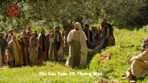 Thu Sau Tuan 29 Thuong Nien