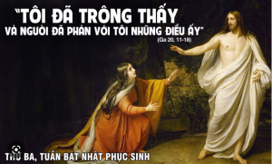 Thu ba tuan BN PS