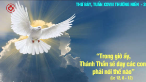 Thu bay tuan 2 thuong nien linhmucthanhtamvn.com