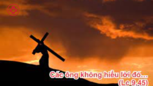 Thu bay tuan XXV linhmucthanhtamvn