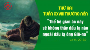 Thu hai tuan 28 thuong nien linhmucthanhtamvn.com