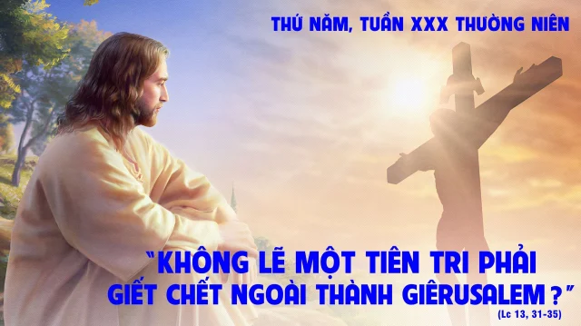 Thu nam tuan 30 tn