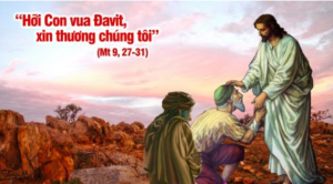 Thu sau tuan 1 mua vong