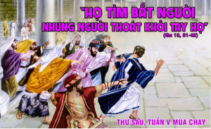 Thu sau tuan V Mc