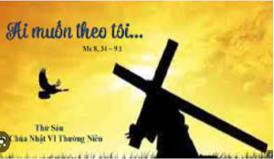 Thu sau tuan sau thuong nien
