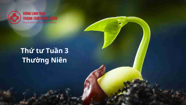 Thứ tư tuần 3 thường niên: Lời Chúa có tiềm năng sinh lợi ích vô hạn cho con người 1 Thu tu Tuan 3 Thuong Nien