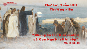 Thu tu tuan VII Thuong nien