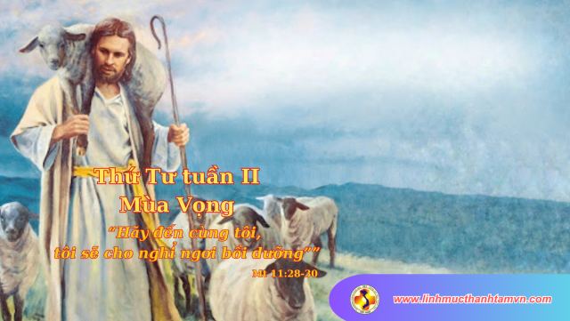 Thứ tư tuần II Mùa vọng - Thiên Chúa yêu thương và săn sóc mọi người 1 White and Blue Modern Solar Energy Facebook Cover 27