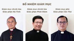 bo nhiem giam muc chinh toa cac giao phan ha tinh va phat diem giam muc pho giao phan can tho2544555
