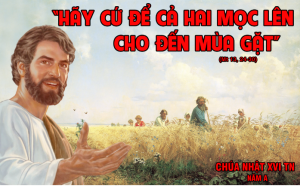 cn 16 tn nam a