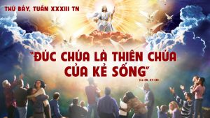 cn xxxiii tn t7