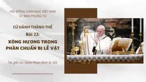 cu hanh thanh the bai 23 xong huong trong phan chuan bi le vat