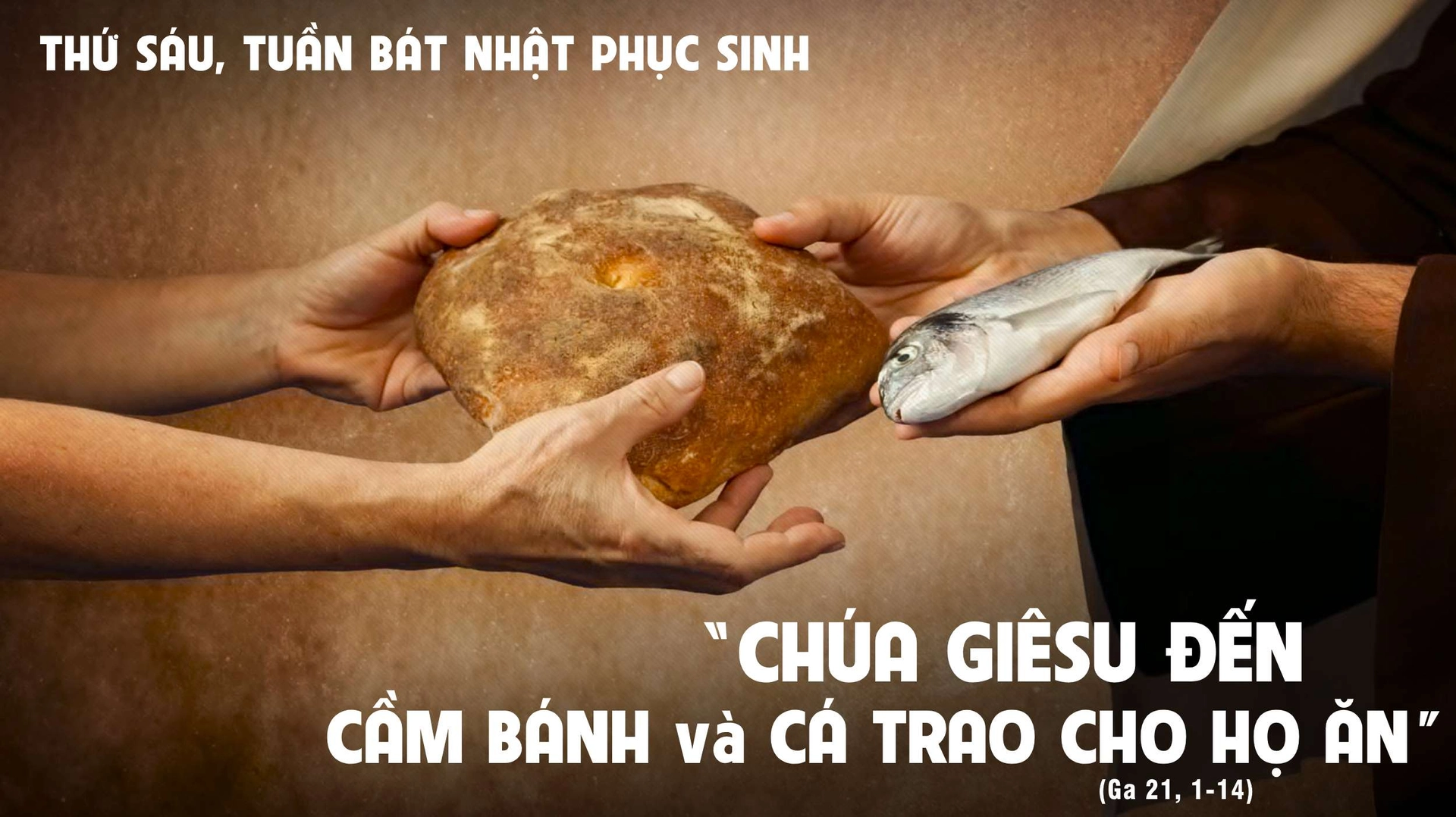 Thứ sáu tuần Bát Nhật Phục Sinh - Chúa Giêsu vẫn đang hoạt động với các tông đồ 2 d7dbdb06 85a4 456b 8d71 e0625a11bca8