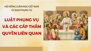 dao tao phung vu cho dan chua bai 2 luat phung vu va cac cap tham quyen lien quan167492