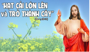 hat cai