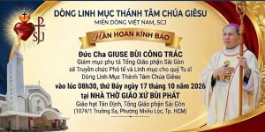 hinh dai dien