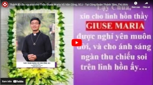 hinh web 1
