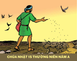 hoc hoi phuc am chua nhat 15 thuong nien nam a