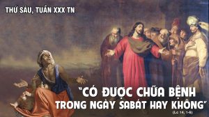 lam cho toi 1 vi deo ngan de gioi thieu cac ung sinh pho te