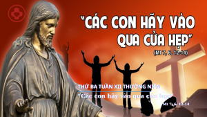 linhmucthanhtam 5