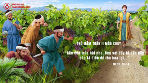 linhmucthanhtam thu sau tuan 2 mua chay
