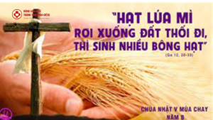 linhmucthanhtamchunhat5mcb